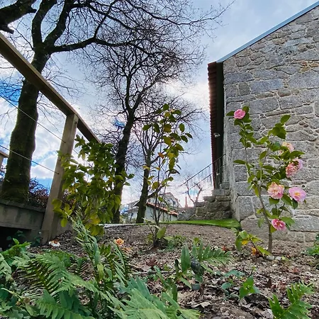 Casa Da Fonte De Cima Gospodarstwo wiejskie Celorico De Basto